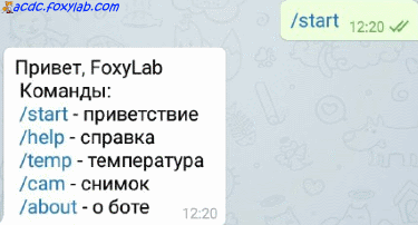 управление домом через бота