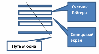 экраны детектора мюонов