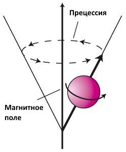 прецессия протона